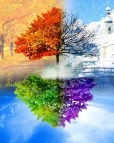 Дерево и его вариации