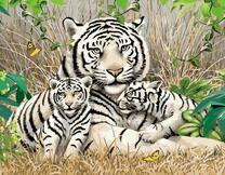 Белые тигрята с мамой в траве