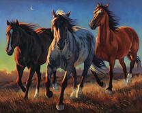 Три красивых коня