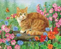 Рыжий кот на заборе