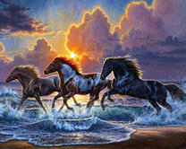 Галоп коней по берегу моря