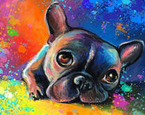 Щенок на разноцветном фоне