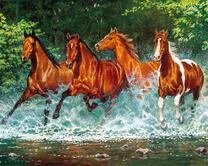 Дикие лошади на реке