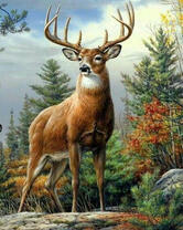 Гордый олень в осеннем лесу