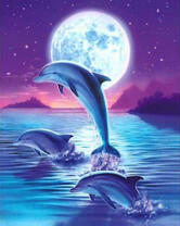 Дельфины на фоне полной луны