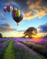 Полет на шаре над лавандовыми полями