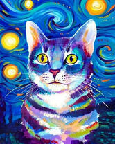 Удивленный кот на фоне звездного неба