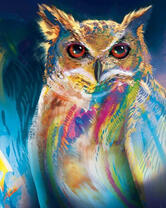 Сова в разных цветах