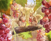 Белочки кушают виноград