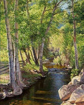 Спокойная река среди дерев