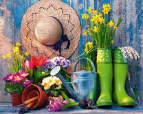 Садовый инвентарь и весенние цветы