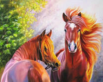 Две ухоженные лошади