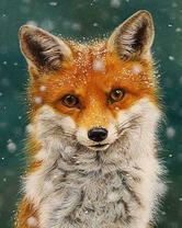 Молодой лисенок под снегом