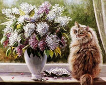 Пушистый кот и букет сирени на подоконнике