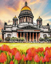 Тюльпаны у Исаакиевского собора