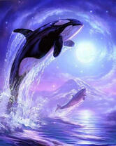 Касатки на фоне гор и луны