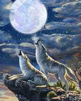 Вой волков в полнолуние