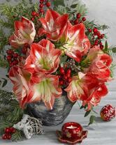 Новогодний букет с амариллисов