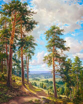 Высокие сосны на горе