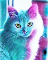 Милая кошечка в цветном свете