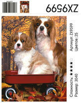 Кинг-чарльз-спаниэль