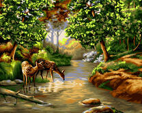 Грациозные олени у водопоя