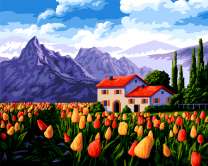 Поле тюльпанов в предгорье