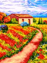 Тропинка вдоль цветущего поля