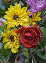 Выразительные цветы