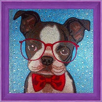 Щенок в красных очках