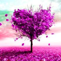 Осень и дерево-сердечко