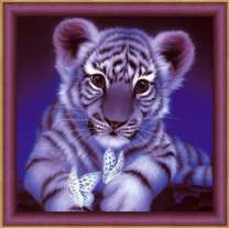 Белый тигренок с бабочками