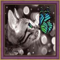Серая кошка и бабочка
