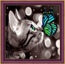 Серый котёнок и сине-зелёная бабочка