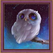 Сова с отражение неба в глазах