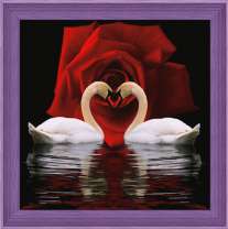 Влюбленные лебеди и большая красная роза