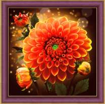 Оранжевые георгины