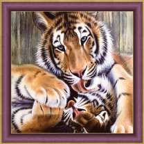 Влюбленные тигры