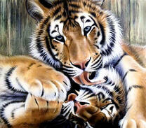 Игры тигра и тигрицы