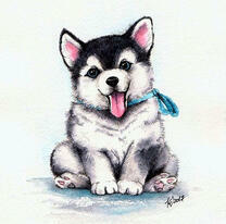 Маленький щеночек хаски