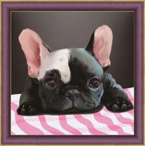 Черный щенок с белым пятнышком