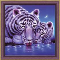 Белые тигры и молодая луна