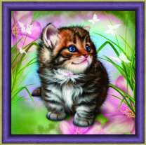 Маленький котёнок и бабочки в траве