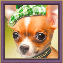 Пёсик в зеленом берете