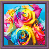 Букет разноцветных роз