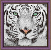 Зеленоглазый тигр