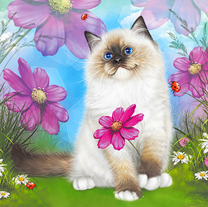 Красивый пушистый котёнок среди цветов