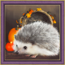 Ежик и тыковки