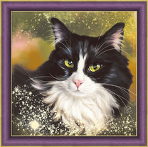 Черно-белый котик