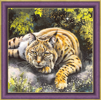 Благородная рысь